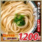 讃岐うどん ご当地うどん 麺が本気で旨い讃岐うどん セット 徳用10人前 福袋 送料無料 ( 特産品 名物商品 )