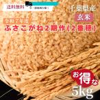 玄米　【訳あり品】令和7年度　ふさこがね　玄米　2期作（2番穂）千葉県産　国産　お米
