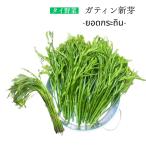 gatin новый .100gga подбородок Thai овощи национальная кухня gachi.ngatin свежий овощи 