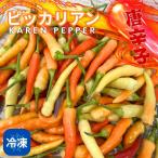 【冷凍】ピッカリヤン　Karen pepper　100g　生唐辛子　タイ　唐辛子　激辛　エスニック　料理