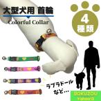  бесплатная доставка для больших собак | красочный . ошейник ( золотой retoli балка и т.п. ) товары для домашних животных ошейник шлейка с поводком собака 
