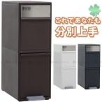 ゴミ箱 ダストボックス エコ 分別式 ごみ箱 おしゃれ スリム キャスター付き インテリア 人気 分別シール付き 2段タイプ