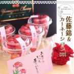  скидка за ранний заказ День матери 2026 Yamagata производство прямой Sato . вишня . гвоздика комплект подарок цветок фрукты комплект подарок набор [(40g стакан ×4) живые цветы ] [WI]