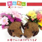 母の日 早割 わんわんッ♪フラワー カーネーション 生花 アレンジメント プレゼント 花 2026  [生花アレンジメント]
