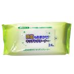  устранение бактерий кухня очиститель 24 листов NC003 сделано в Японии уборка кухня 