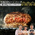 ハンバーグ 200g 母の日