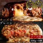 ハンバーグ 200g 母の日