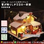 1/24   ミニチュア 手作りキット 英語説明書 雪が降りしきる日の一軒家 クリスマス LEDライト+アクリルケース+フィギュア