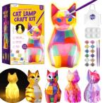 描ける 猫ランプ お絵描きキット 工作キット 手作りキット 動物ランプ 間接照明 子供 メイキングトイ 男の子 女の子