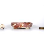  один сырой белый чай . внутри . порез пара эллипс ширина 11.4cm