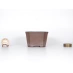  средний ... фиолетовый грязь .. вне .. порез порез пара правильный person ширина 6.2cm