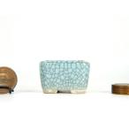  синий .... входить порез пара правильный person ширина 3.5cm