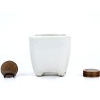  белый . порез . порез пара правильный person ширина 6.0cm