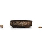  весна . юг .. песок порез пара эллипс ширина 17.5cm