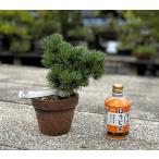 商品画像3
