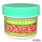 カットパスター 皐月・松柏用 190ｇ  bonsai 盆栽道具 ハナゲン