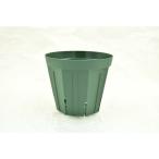 スリット鉢2.5号 75mm 10個セット CSM-75　盆栽　多肉植物 観葉植物 サボテン クリスマスローズ バラ 宿根草 非耐暑性宿根草 植木鉢 プラ鉢 プラスチック鉢