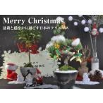 クリスマスの盆栽ツリーモミの木に勝...