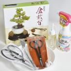  бонсай инструмент 7 позиций комплект бонсай ножницы ветка порез . ножницы режущий инструмент масло бонсай вращающаяся база пинцет стерилизация инсектицид работа для поддонник бонсай бонсай инструмент бонсай .