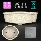 盆栽鉢 真山白貫入釉木瓜式鉢 植木鉢 寺畑陶園 寺畑真山 まざん 瀬戸 色鉢 8号 25cm ホワイト 雑木盆栽 中品盆栽に最適