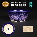 ショッピング鉢 盆栽鉢 鴻陽瑠璃ピンク結晶釉丸鉢 色鉢 ネイビー ピンク 常滑 5号 14cm 小品盆栽 ミニ盆栽に最適