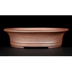 ショッピング鉢 盆栽鉢 黎鳳外縁下紐楕円鉢 常滑 レイホウ 泥鉢 9号 28cm  松柏盆栽 中品盆栽に最適