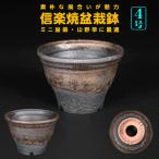 ショッピング鉢 盆栽鉢 信楽焼金彩丸鉢 山野草鉢 4号 12cm 小品盆栽 ミニ盆栽 野草 草物に最適