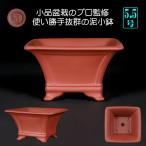 盆栽鉢 紫泥外縁額面正方鉢 朱泥 植