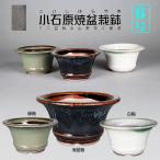 盆栽鉢 小石原焼6号深外縁丸鉢 山草