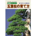 書籍 本 盆栽専門誌「五葉松の育て