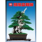  литература книга@ бонсай специализация журнал [ no. 84 раз . способ бонсай выставка память .] бонсай сосна Kashiwa . дерево фотоальбом Chuubu бонсай комплект ... Nagoya город дуть сверху отверстие открытие 
