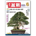  ежемесячный [ новое время бонсай ]2020 год 6 месяц номер 