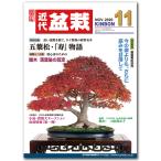 月刊「近代盆栽」2020年11月号