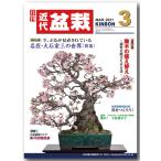  ежемесячный [ новое время бонсай ]2021 год 3 месяц номер 