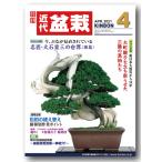  ежемесячный [ новое время бонсай ]2021 год 4 месяц номер 