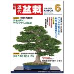  ежемесячный [ новое время бонсай ]2021 год 6 месяц номер 