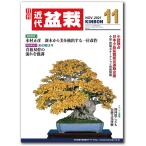  ежемесячный [ новое время бонсай ]2021 год 11 месяц номер 