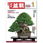  ежемесячный [ новое время бонсай ]2022 год 1 месяц номер 