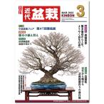  ежемесячный [ новое время бонсай ]2022 год 3 месяц номер 