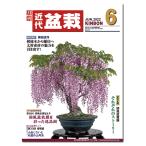  ежемесячный [ новое время бонсай ]2022 год 6 месяц номер начинающий из bete Ran love . дом до, видеть легко содержание полнота. бонсай объединенный журнал!! бонсай близко поддон kinbon bonsai ежемесячный журнал хобби. журнал бесплатная доставка 