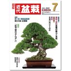  ежемесячный [ новое время бонсай ]2022 год 7 месяц номер начинающий из bete Ran love . дом до, видеть легко содержание полнота. бонсай объединенный журнал!! бонсай близко поддон kinbon bonsai ежемесячный журнал хобби. журнал бесплатная доставка 