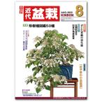  ежемесячный [ новое время бонсай ]2022 год 8 месяц номер начинающий из bete Ran love . дом до, видеть легко содержание полнота. бонсай объединенный журнал!! бонсай близко поддон kinbon bonsai ежемесячный журнал хобби. журнал бесплатная доставка 