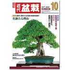 ежемесячный [ новое время бонсай ]2022 год 10 месяц номер начинающий из bete Ran love . дом до, видеть легко содержание полнота. бонсай объединенный журнал!! бонсай близко поддон kinbon bonsai ежемесячный журнал хобби. журнал бесплатная доставка 