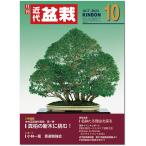  ежемесячный [ новое время бонсай ]2023 год 10 месяц номер начинающий из bete Ran love . дом до, видеть легко содержание полнота. бонсай объединенный журнал!! бонсай близко поддон kinbon bonsai ежемесячный журнал хобби. журнал бесплатная доставка 