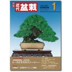 月刊「近代盆栽」2024年１月号　初心者からベテラン愛好家まで、見やすく内容充実の盆栽総合誌!! 盆栽 近盆 kinbon bonsai 月刊誌 趣味の雑誌 送料無料