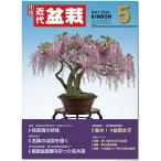  ежемесячный [ новое время бонсай ]2024 год 5 месяц номер начинающий из bete Ran love . дом до, видеть легко содержание полнота. бонсай объединенный журнал!! бонсай близко поддон kinbon bonsai ежемесячный журнал хобби. журнал бесплатная доставка 