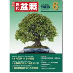  ежемесячный [ новое время бонсай ]2024 год 5 месяц номер начинающий из bete Ran love . дом до, видеть легко содержание полнота. бонсай объединенный журнал!! бонсай близко поддон kinbon bonsai ежемесячный журнал хобби. журнал бесплатная доставка 