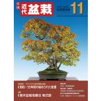 月刊「近代盆栽」2025年11月号　初心