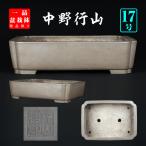  бонсай горшок line гора . входить длина person горшок Tokoname 17 номер 50cm type структура . штамп ... сосна Kashiwa Rhododendron indicum бонсай оптимальный товар ограничен 