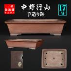  бонсай горшок line гора вне . длина person горшок Tokoname ручной работы гвоздь резьба по дереву ..17 номер 49cm сосна Kashiwa большой предмет бонсай оптимальный товар ограничен 